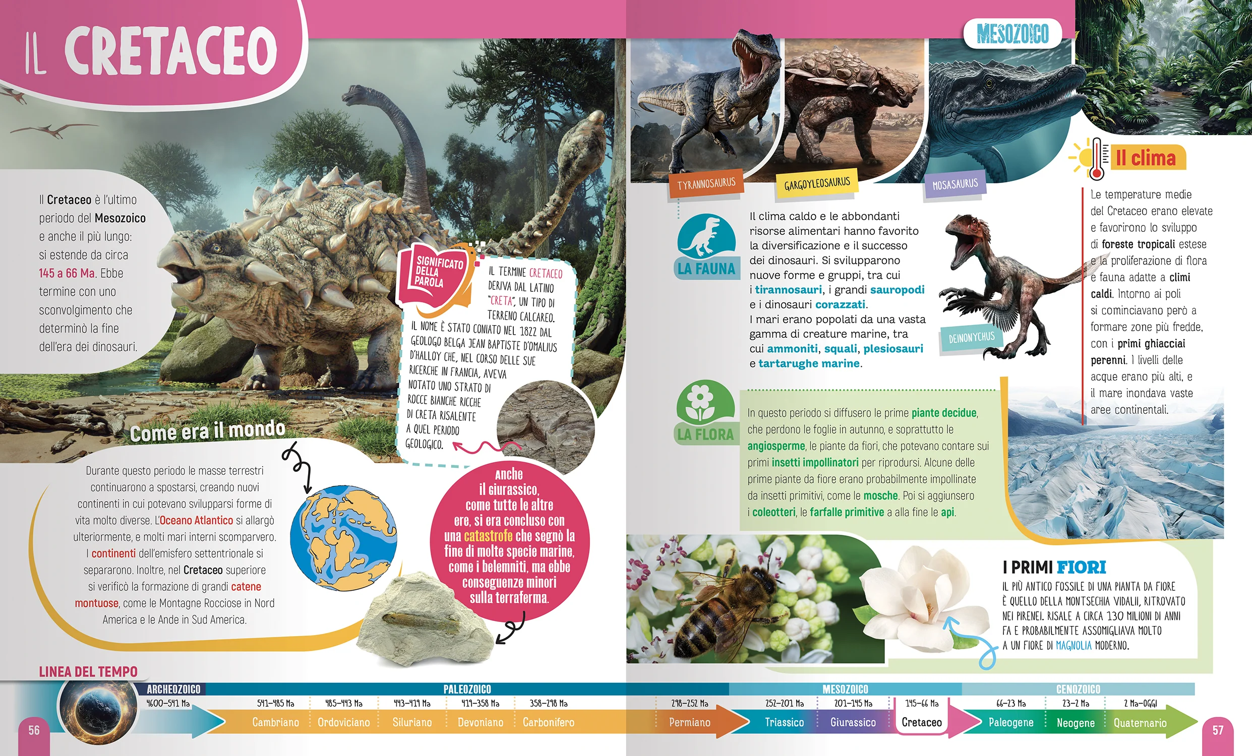 300 Dinosauri e animali preistorici - Image 3