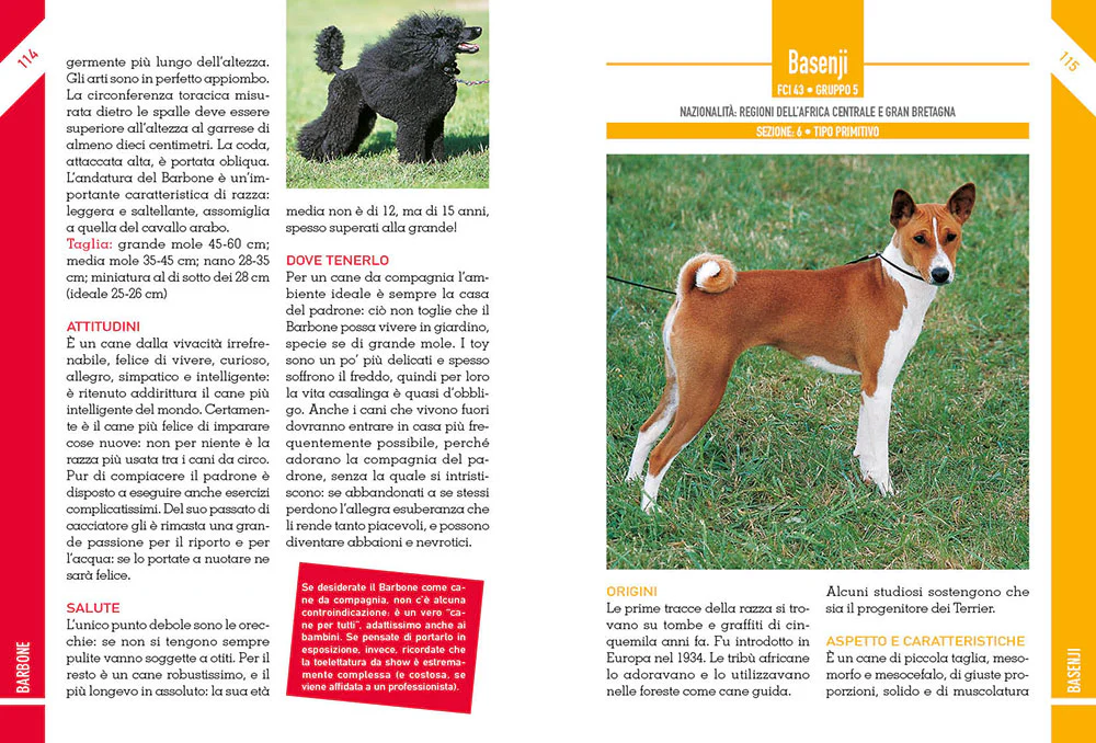 342 Cani di razza. caratteristiche fisiche e psicologiche • storia • attitudini • curiosità - Image 3