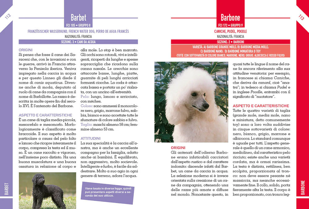 342 Cani di razza. caratteristiche fisiche e psicologiche • storia • attitudini • curiosità - Image 4