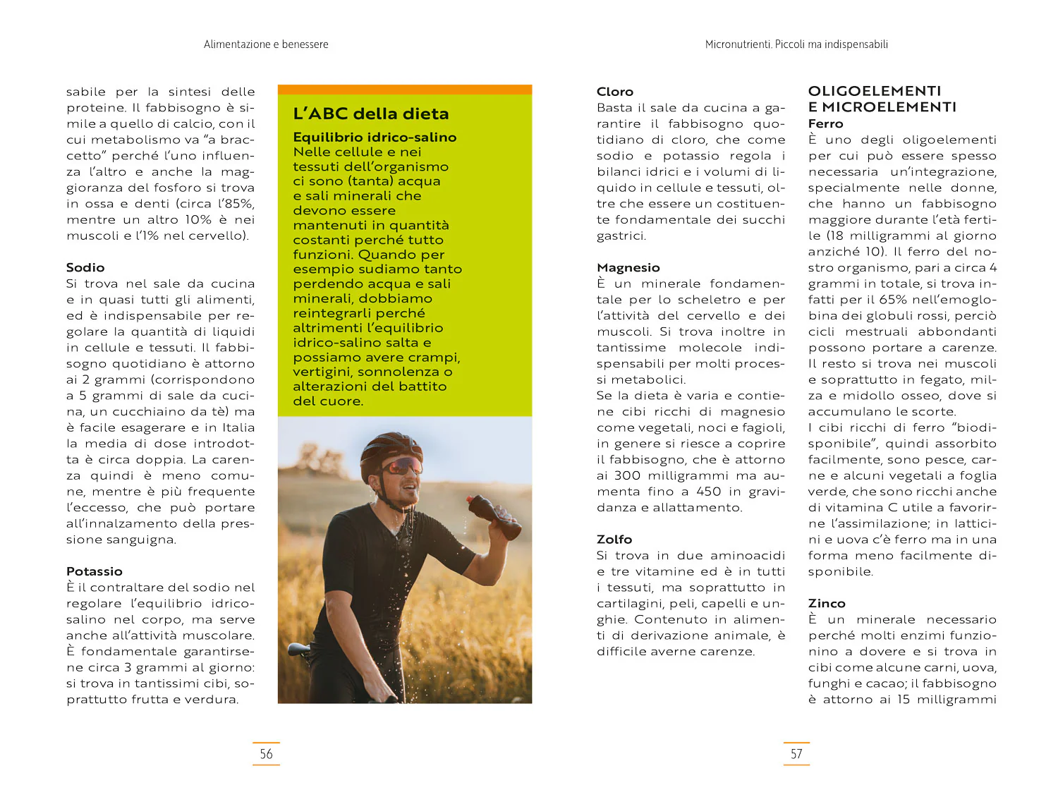 Alimentazione e benessere. Nutrirsi bene per una vita sana e attiva - Image 5