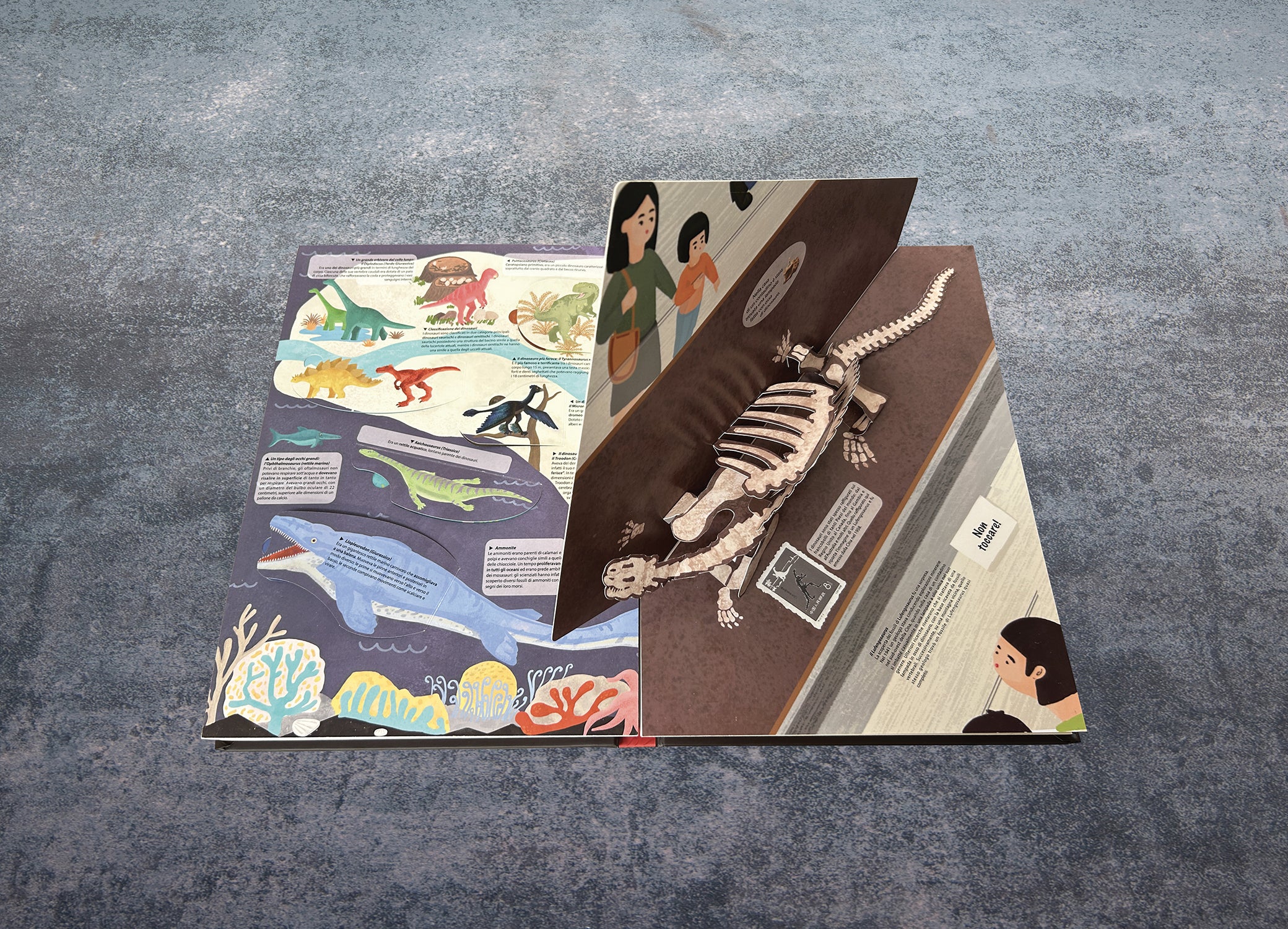 Alla ricerca dei Dinosauri - Image 3