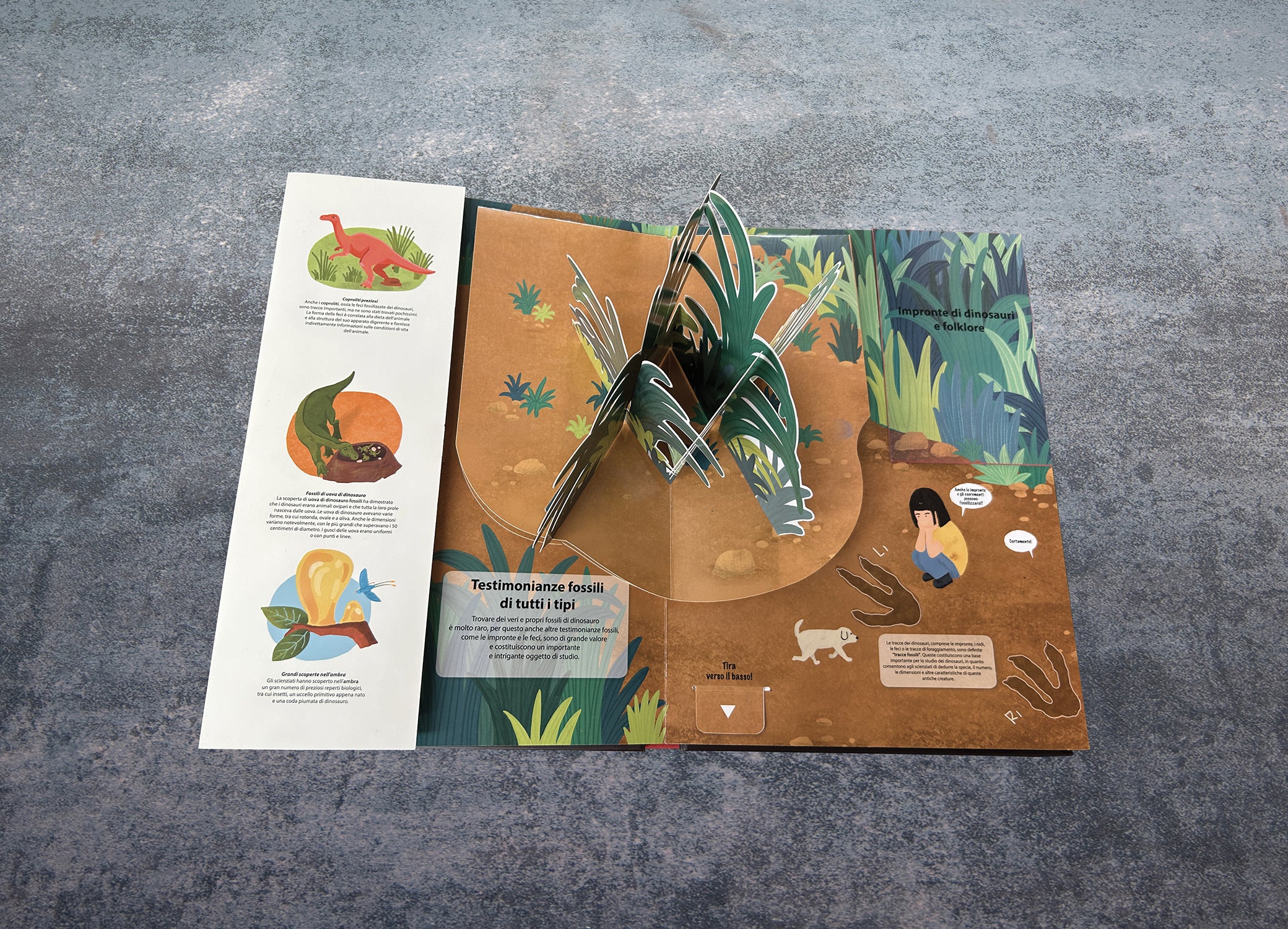 Alla ricerca dei Dinosauri - Image 4