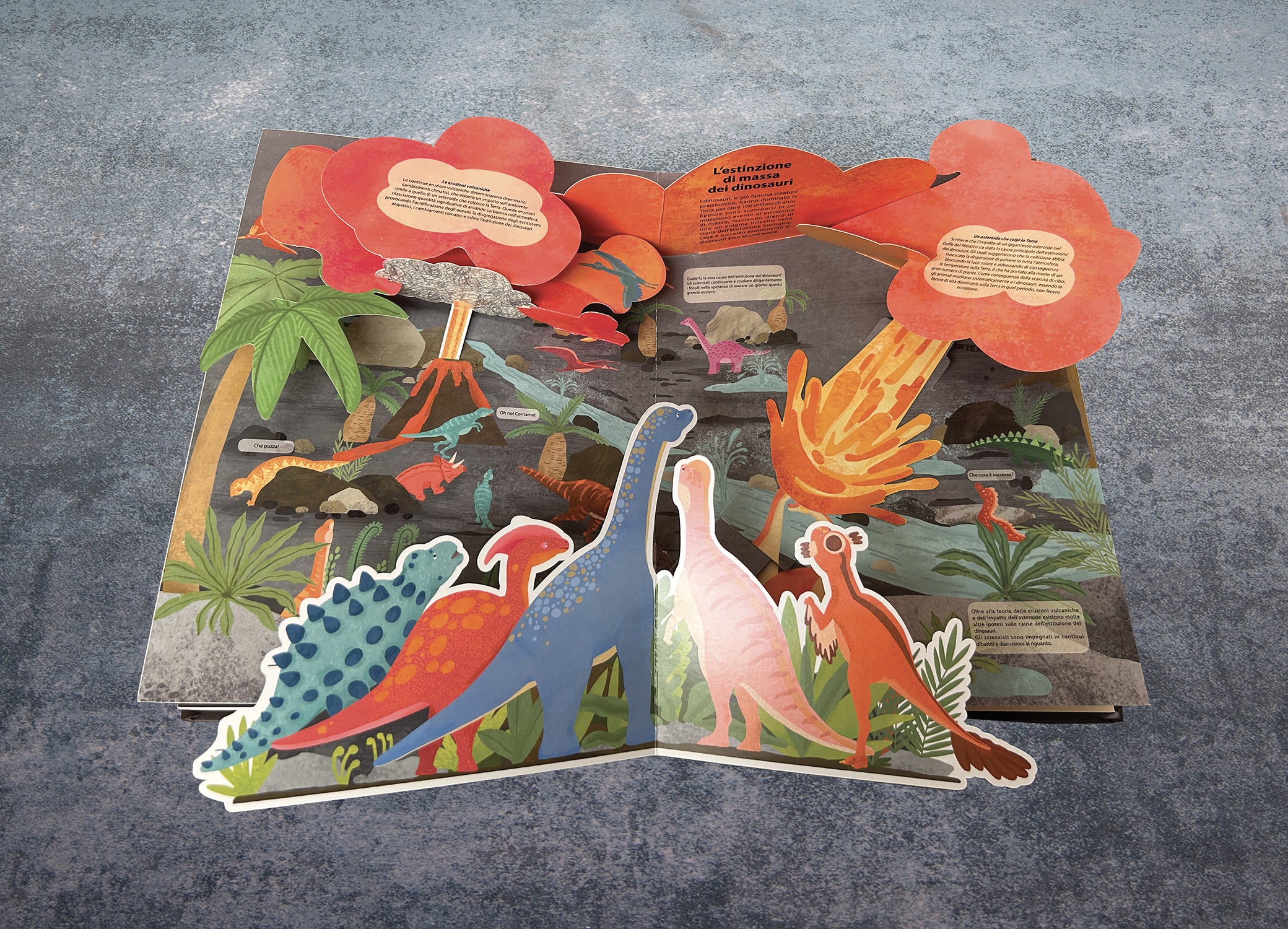 Alla ricerca dei Dinosauri - Image 5