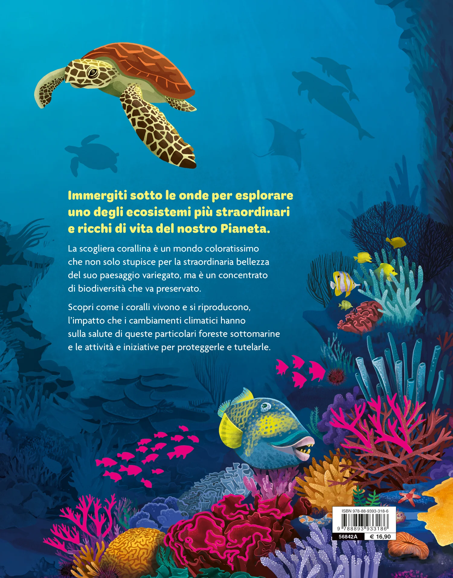 Foreste coralline. Un tesoro marino da preservare - Image 2