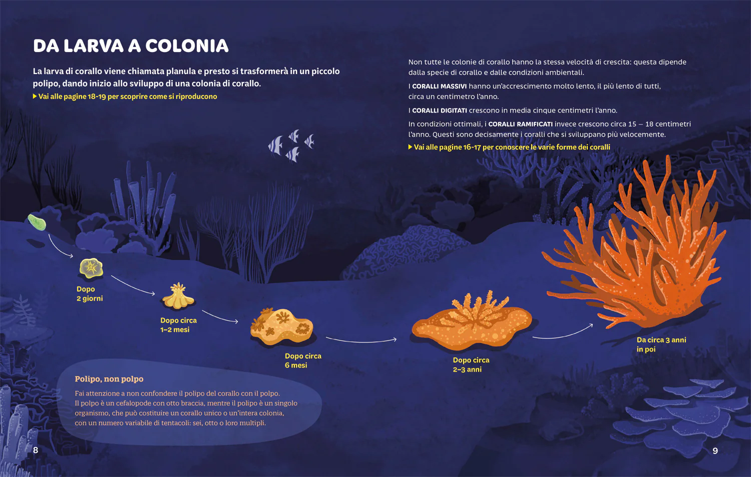 Foreste coralline. Un tesoro marino da preservare - Image 3