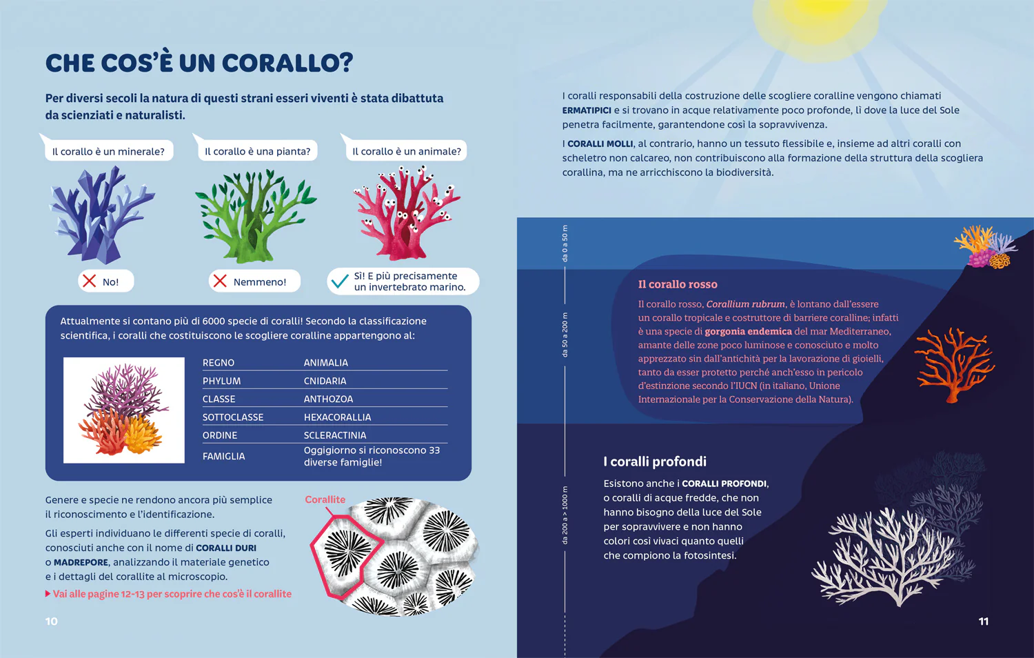 Foreste coralline. Un tesoro marino da preservare - Image 4