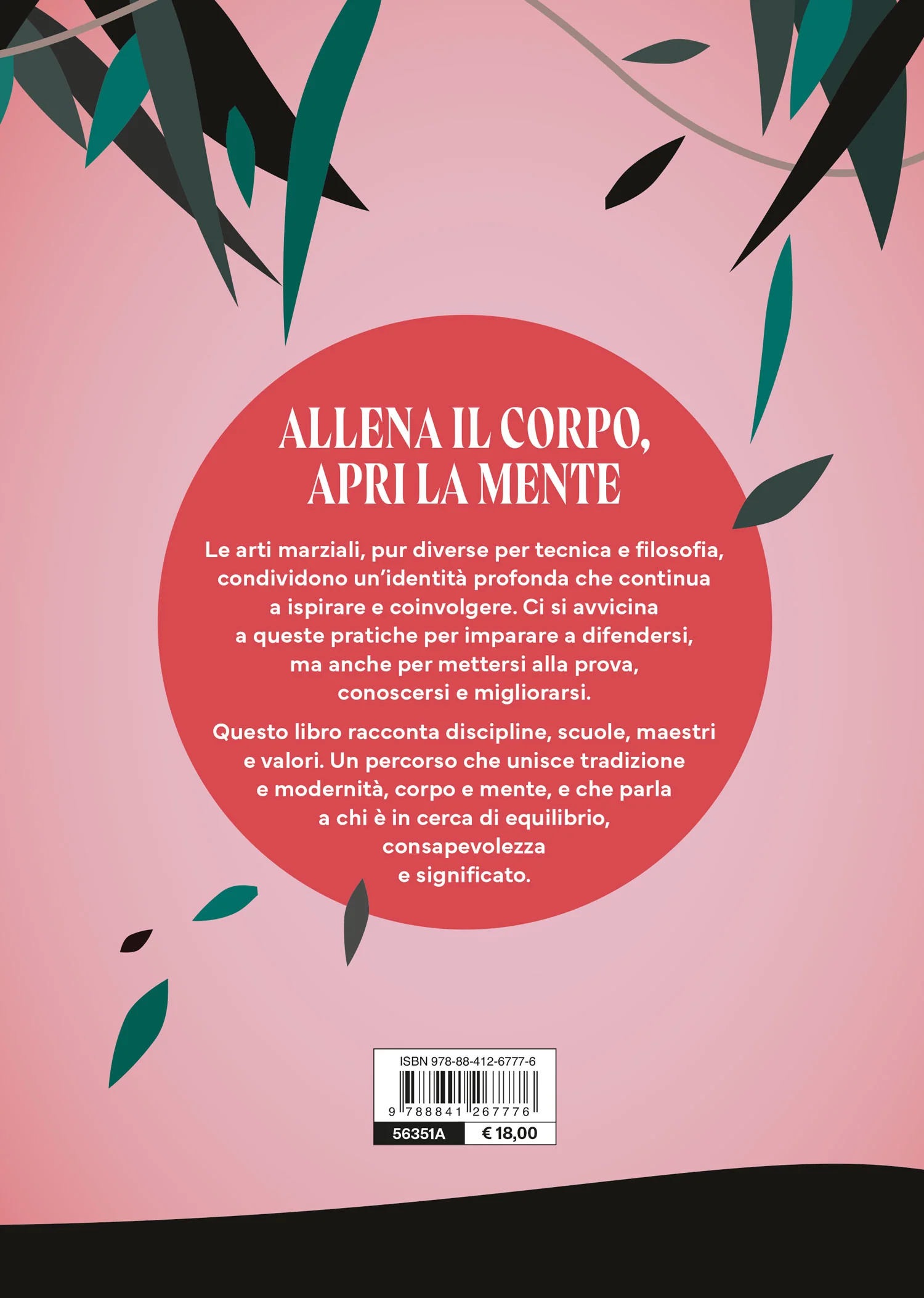 I segreti delle arti marziali - Image 2