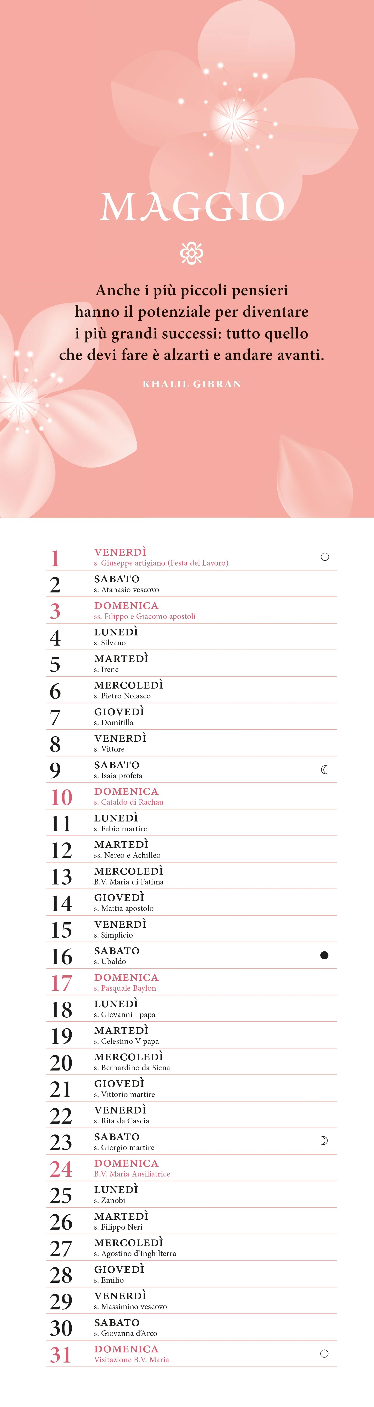 IKIGAI. SENSO DELLA VITA GIAPPONE 2026 da parete (12,5 X 48 cm) - Image 3