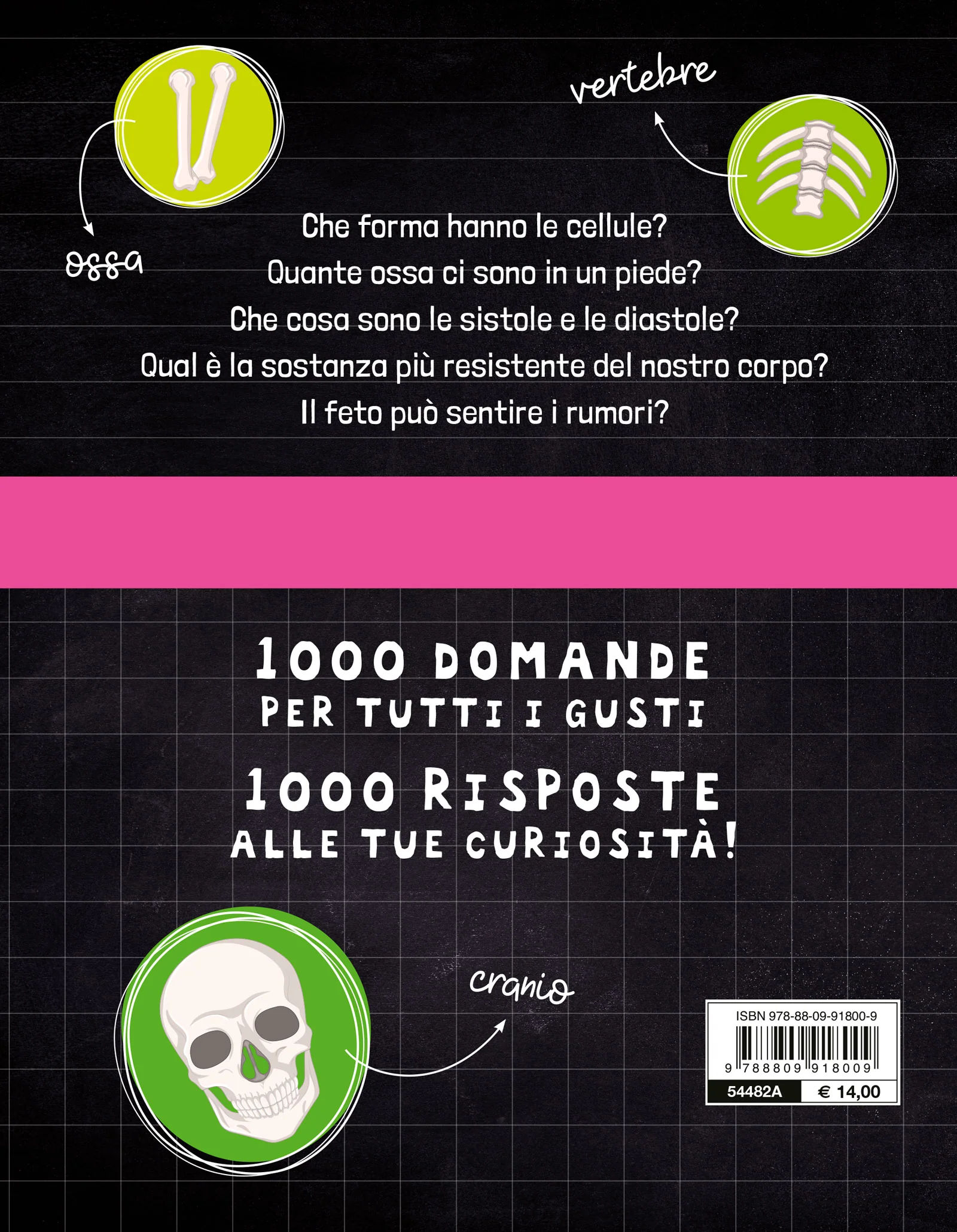 Il corpo umano - Image 2