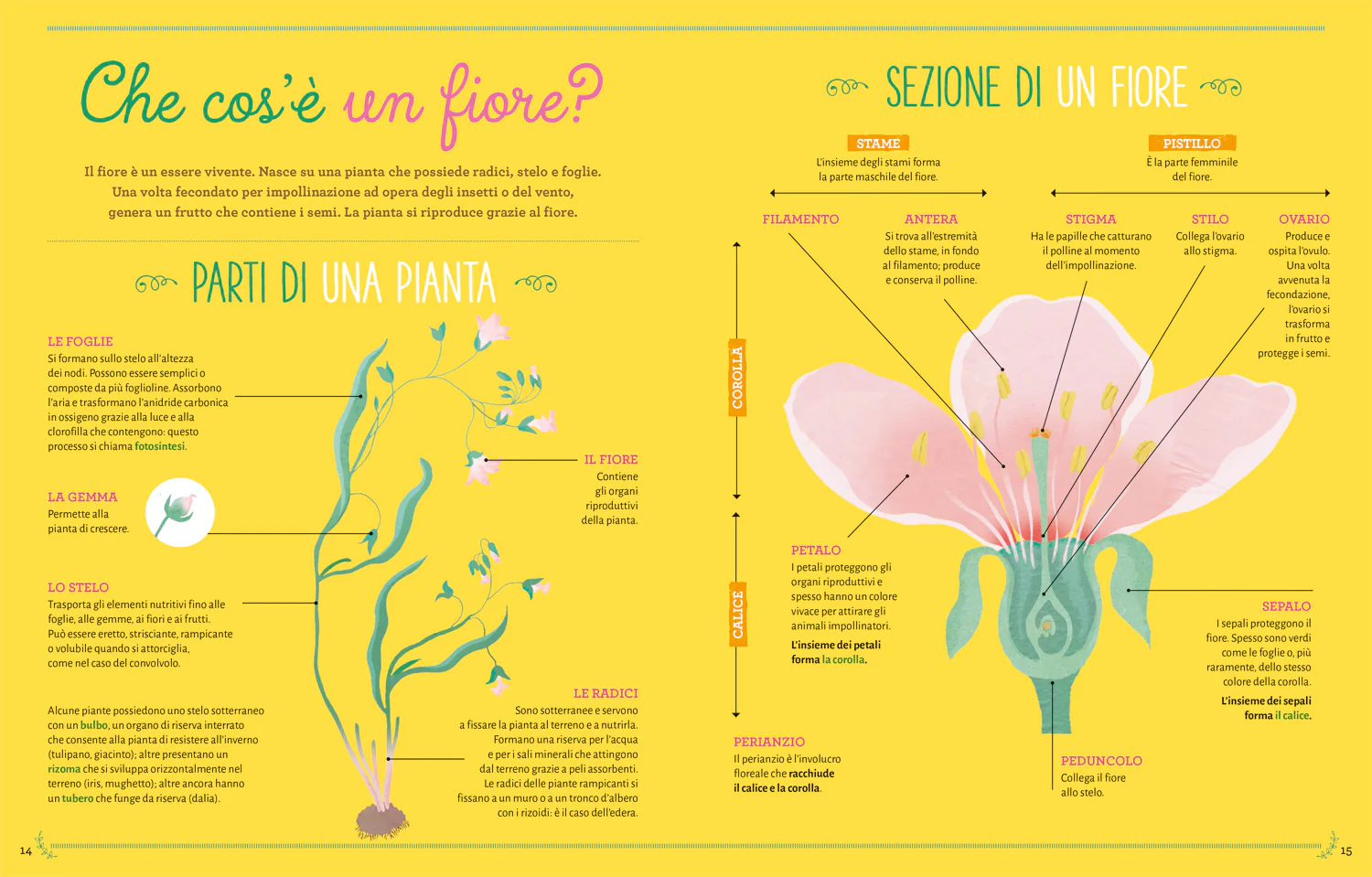 Il super libro della natura. Scoperte – Attività all'aria aperta – Quiz e giochi - Image 4