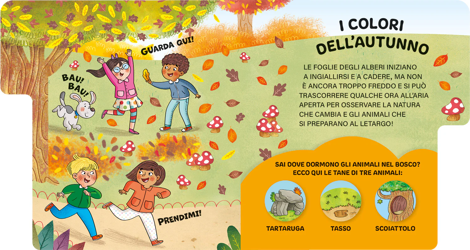 Il tempo e le stagioni - Image 3