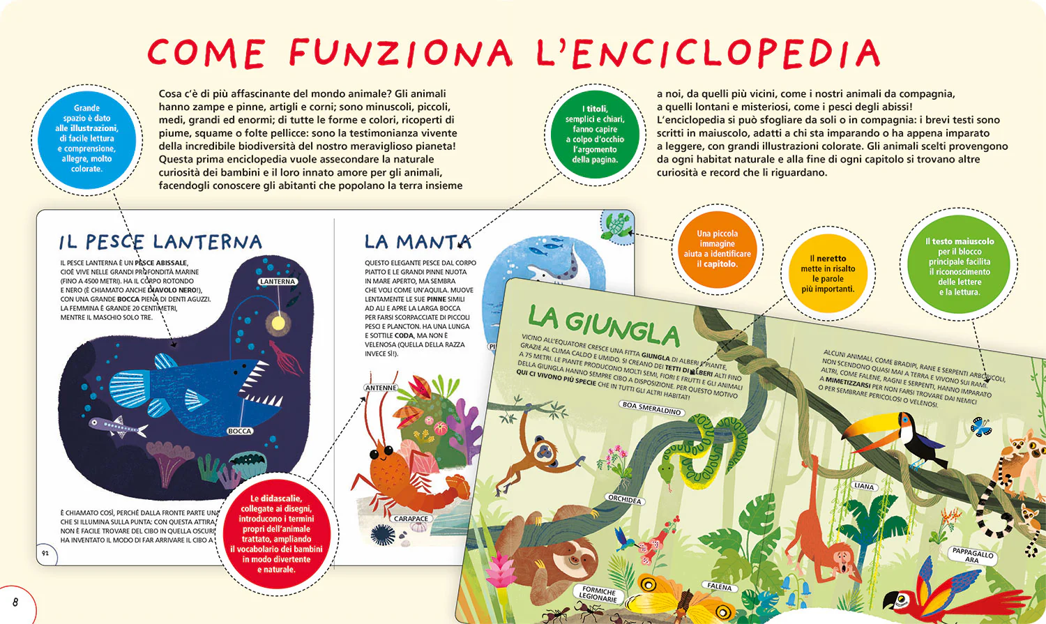 La mia prima enciclopedia degli animali - Image 3
