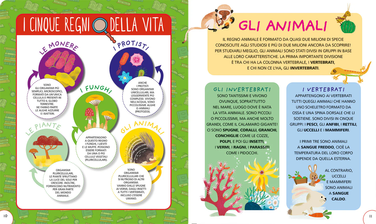 La mia prima enciclopedia degli animali - Image 4