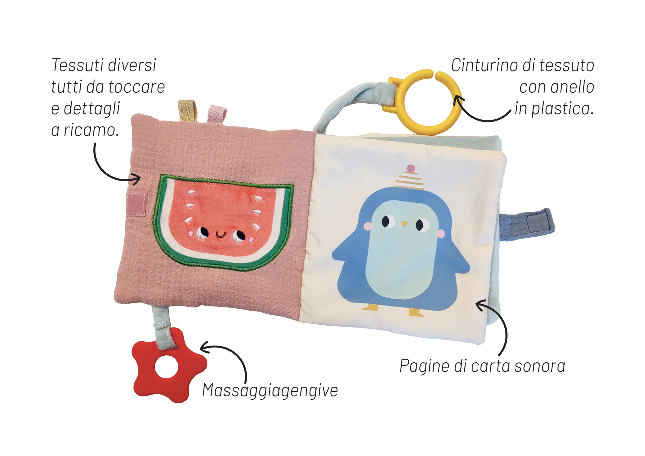 La rana. Un libro tutto da esplorare - Image 2