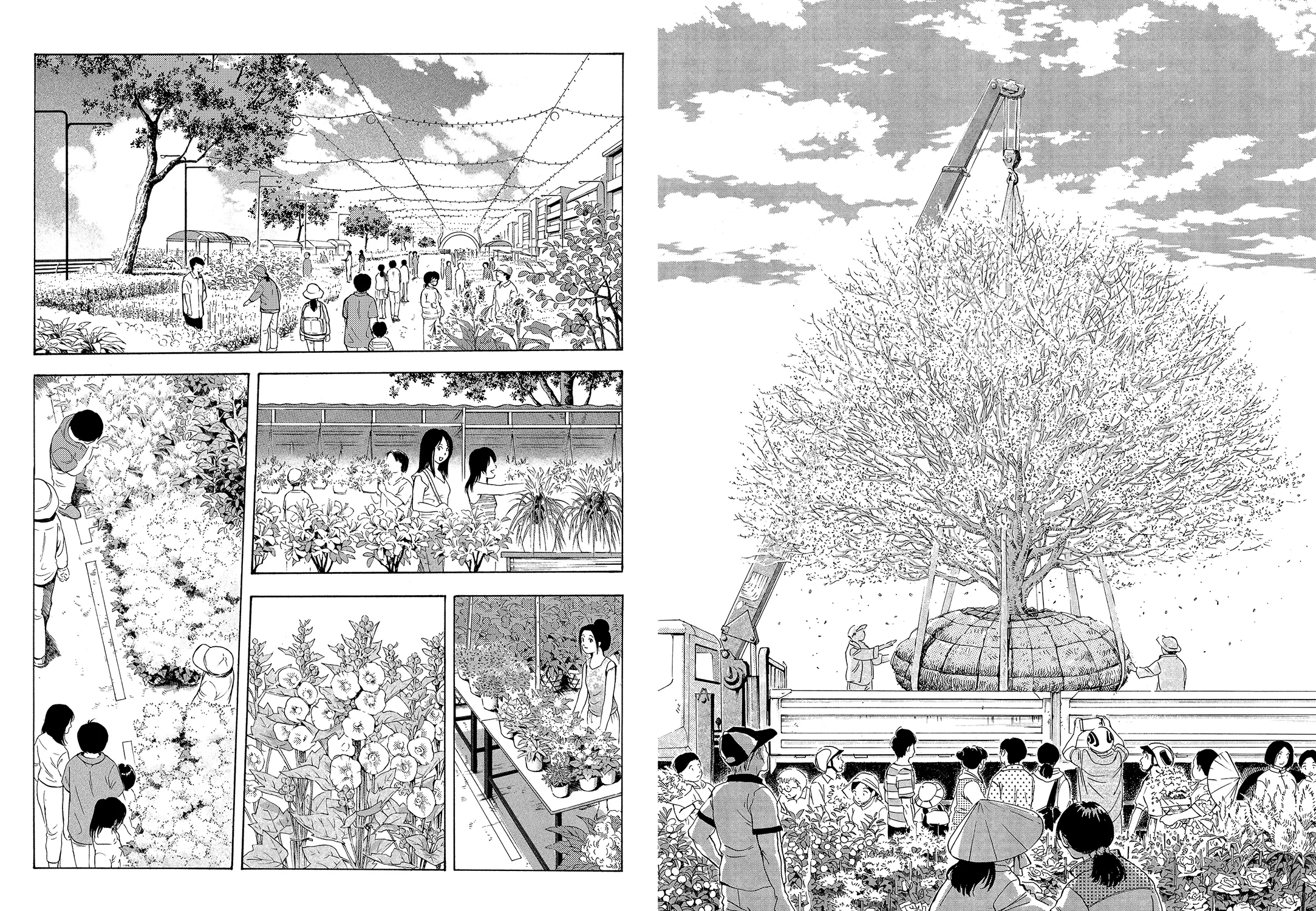 LA STRADA DEI FIORI - Image 4