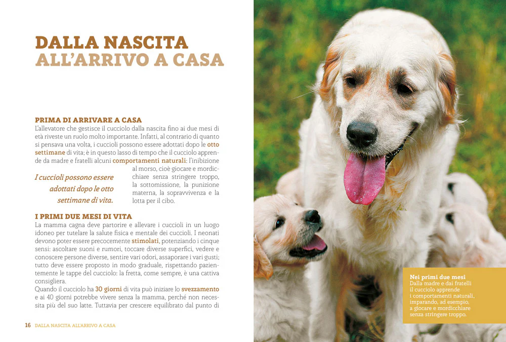 L'educazione del tuo cane - Image 4