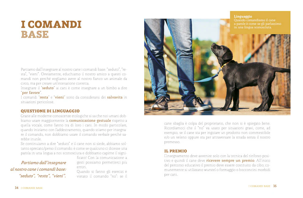 L'educazione del tuo cane - Image 5
