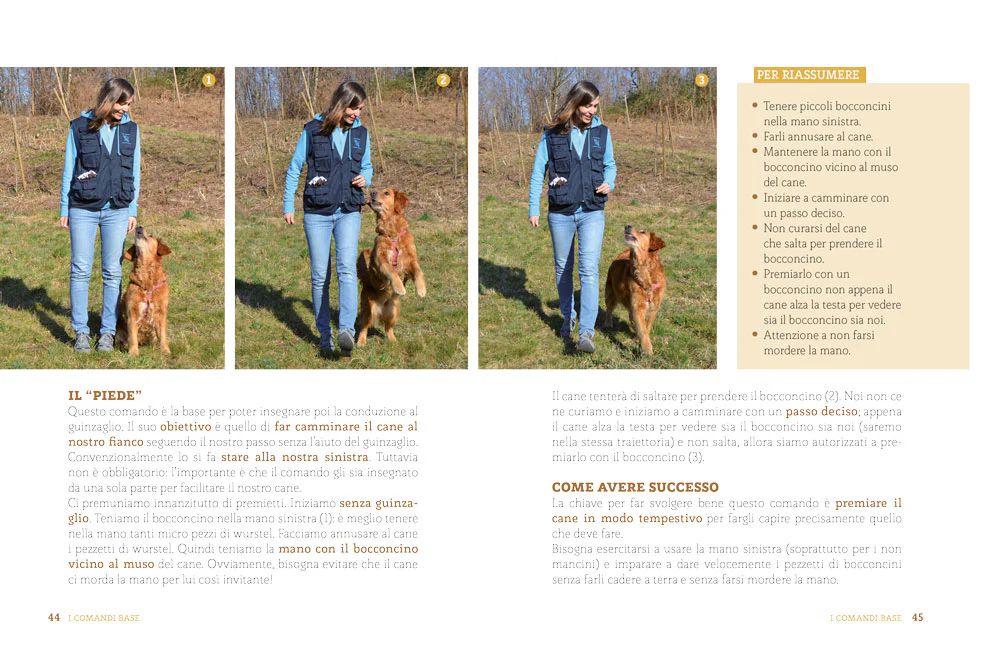 L'educazione del tuo cane - Image 6