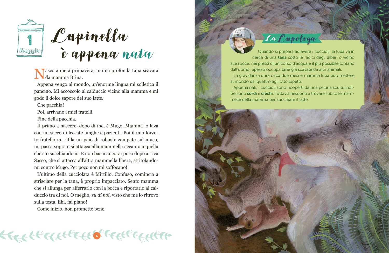 Lupinella. La vita di una lupa nei boschi delle Alpi - Image 4
