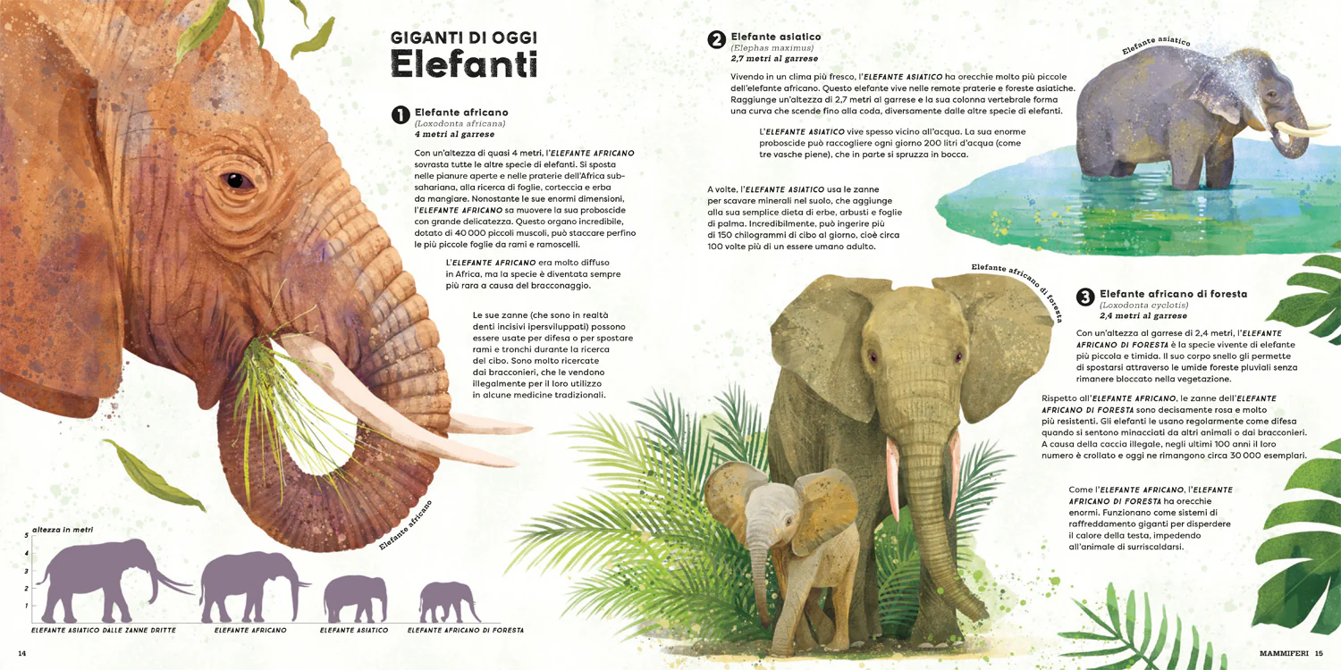 Mega. I più grandi animali di sempre! - Image 5