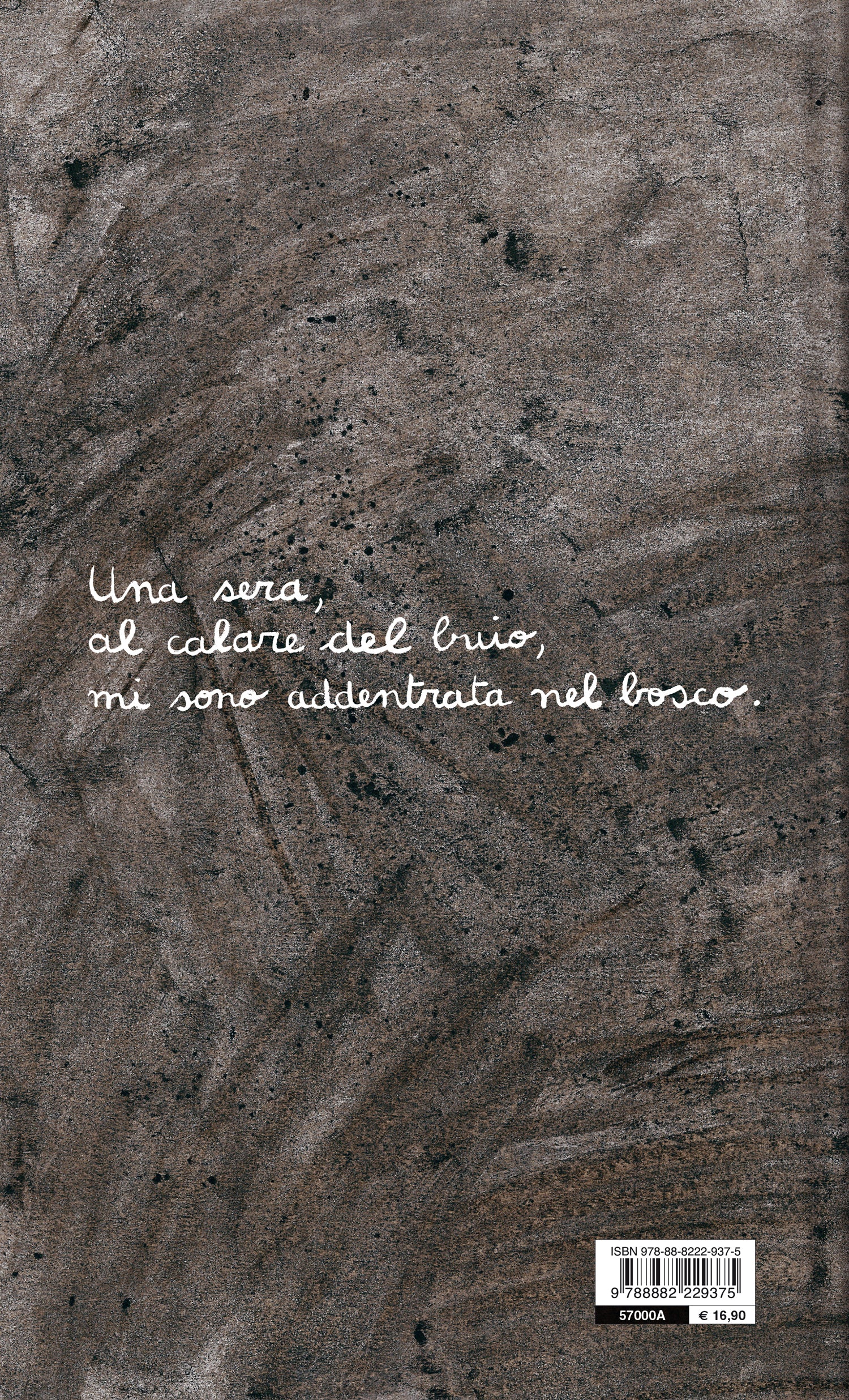 Notte magica - Image 2