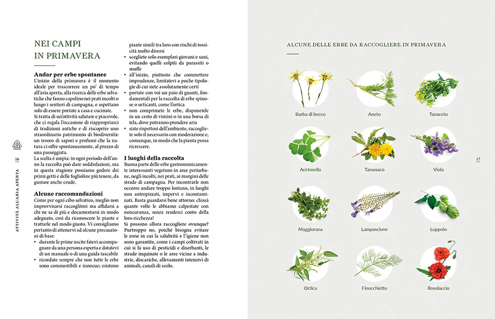 OUTDOOR. VITA E CUCINA ALL'APERTO. VITA E CUCINA ALL'APERTO - Image 3
