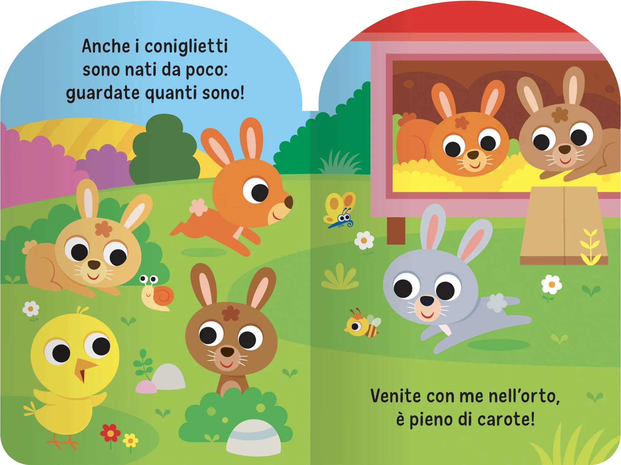 Pulcino e i suoi amici - Image 5