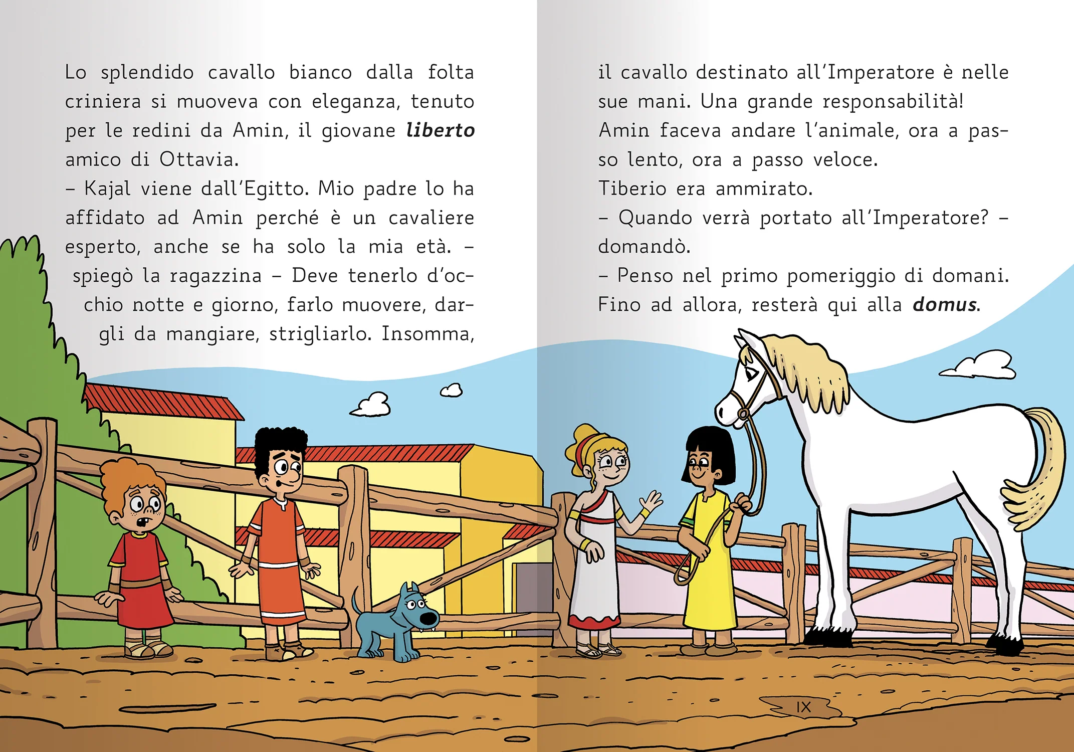 Un cavallo per amico - Image 5